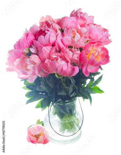 Fototapeta Naklejka Na Ścianę i Meble -  Fresh dark pink peony flowers in glass vase isolated on white background