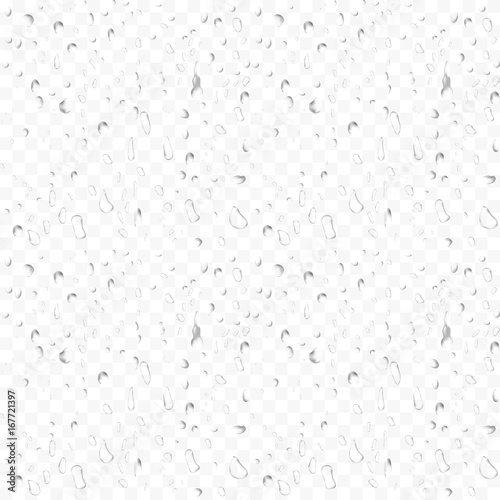 Water rain drops isolated on transparent background. Realistic vector illustration. 3D bubbles on window glass surface
