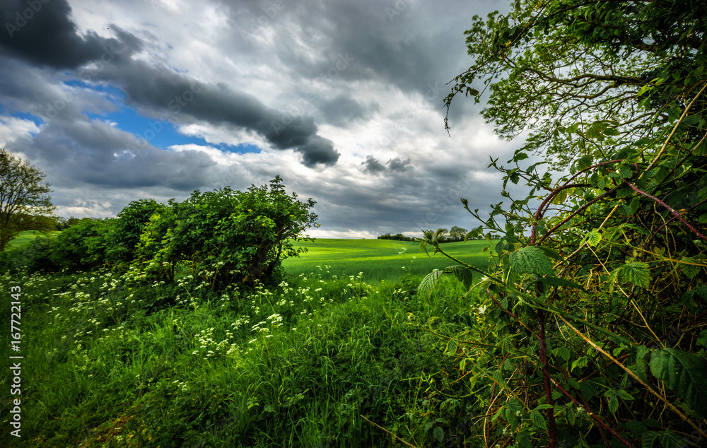 Obraz premium Green meadow with dramatic sky