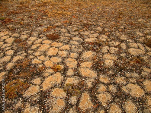 Patterned Ground