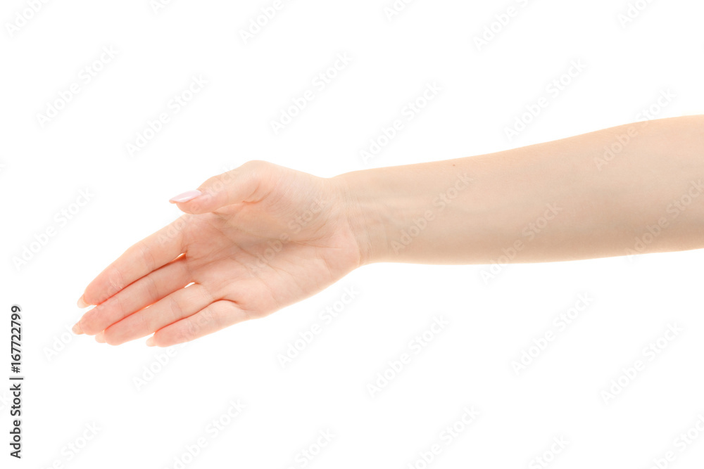 Female hand handshake
