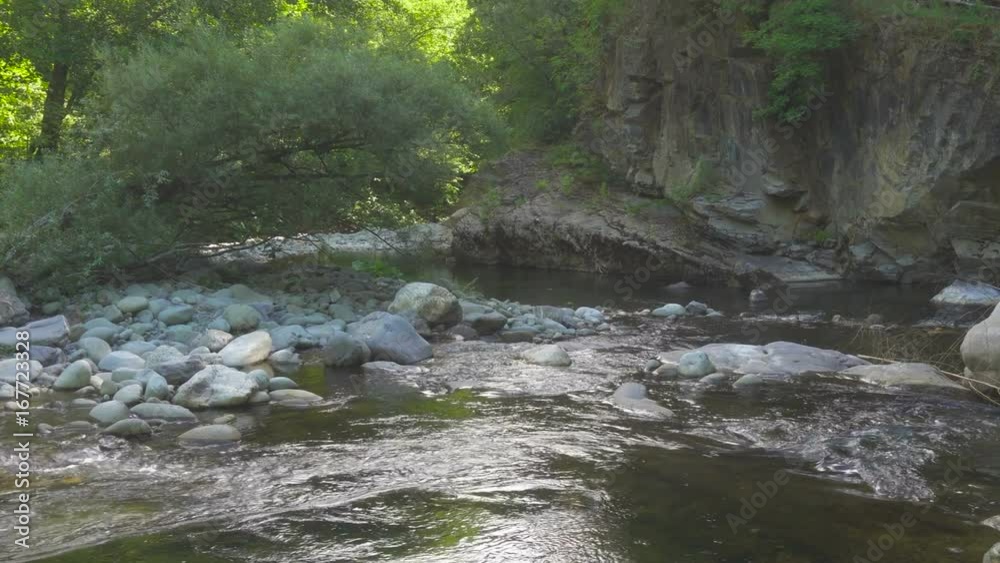 Wild Mountain river with banks overgrown with forest and rocks Wild Mountain river with banks overgrown with forest and rocks