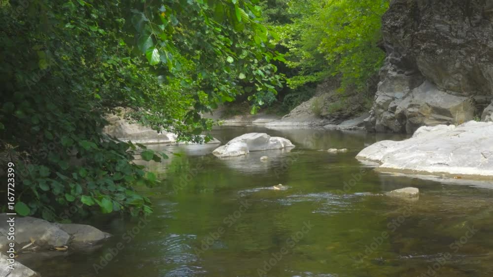 Wild Mountain river with banks overgrown with forest and rocks Wild Mountain river with banks overgrown with forest and rocks