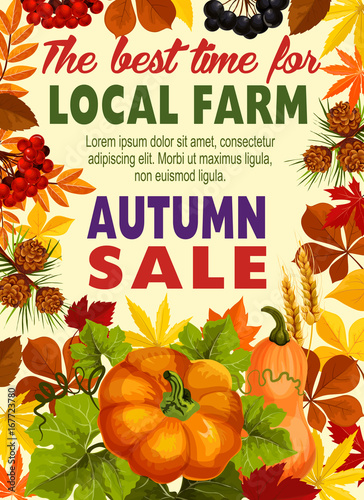 Autumn sale poster of farm harvest vegetable, leaf