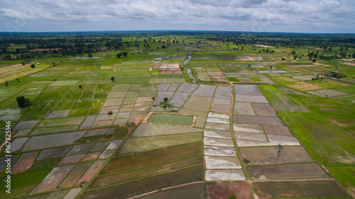aerial view of agriculture field ,rice terrace in mahasarakham north eastern thailand