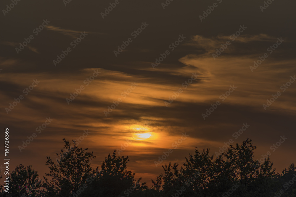 Sunset over trees near Lukov village