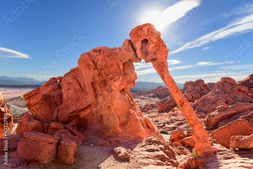 Elephant Rock in Valley of Fire near Overton, Nevada, U.S.A. photo