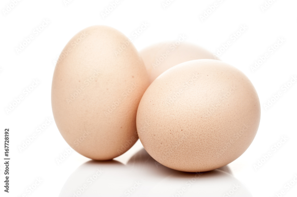 chicken eggs standing isolated on white background chicken eggs standing isolated on white background