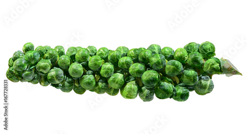 A stalk of brussel sprouts isolated in white background