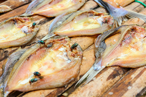 Fish dried by sunlight.