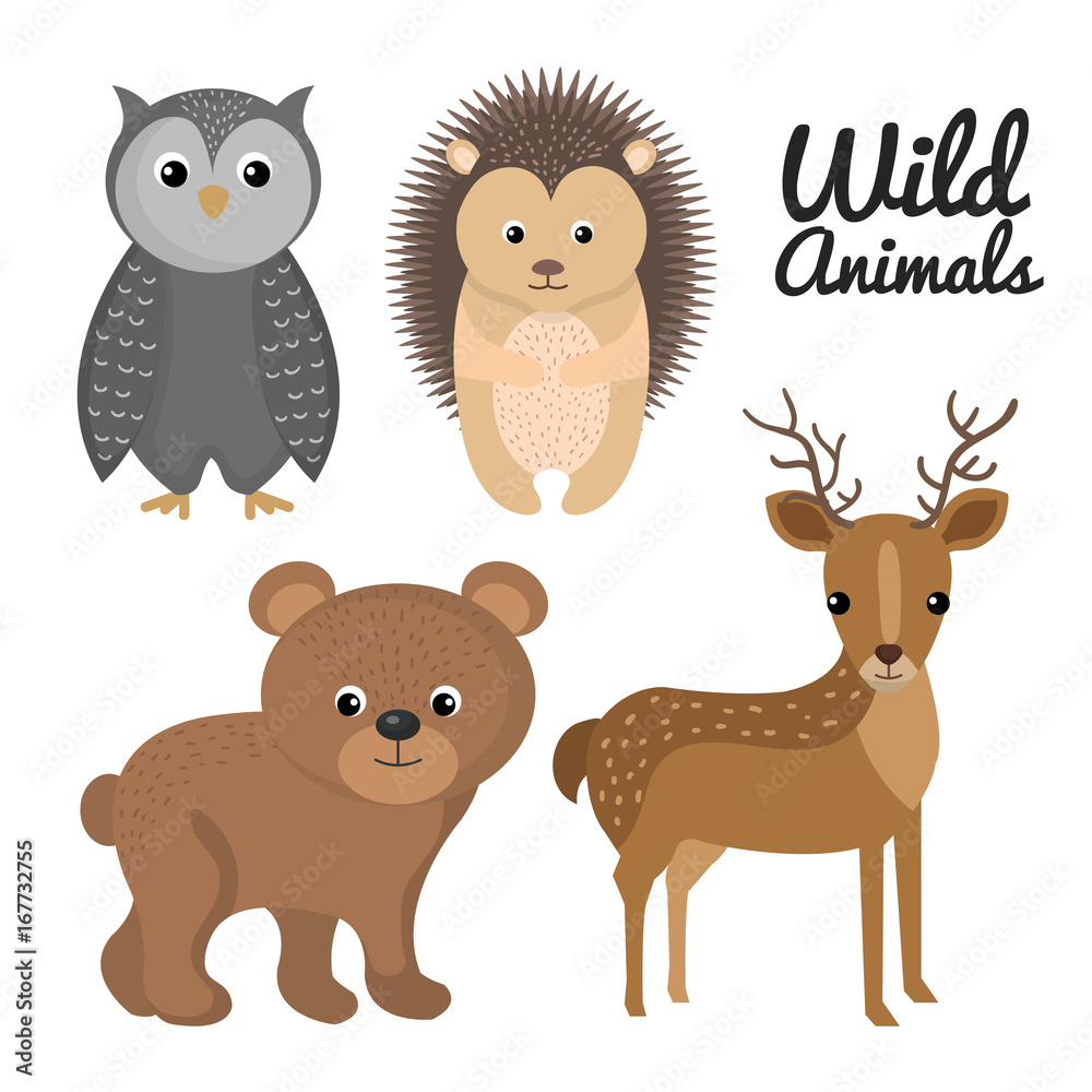cute wild animal nature fauna set image vector illustration cute wild animal nature fauna set image vector illustration