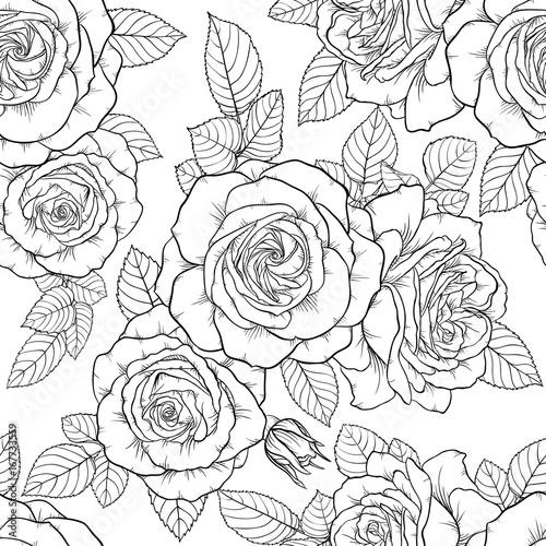 Beautiful monochrome black and white seamless pattern with roses, leaves. Hand drawn contour lines.