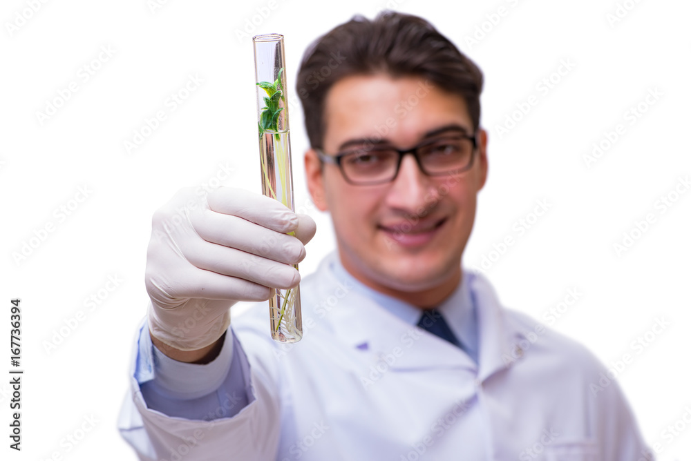 Scientist with green seedling in glass isolated on white Scientist with green seedling in glass isolated on white