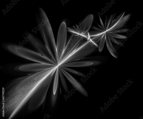 Abstract Fractal Branch and Leaf Pattern
