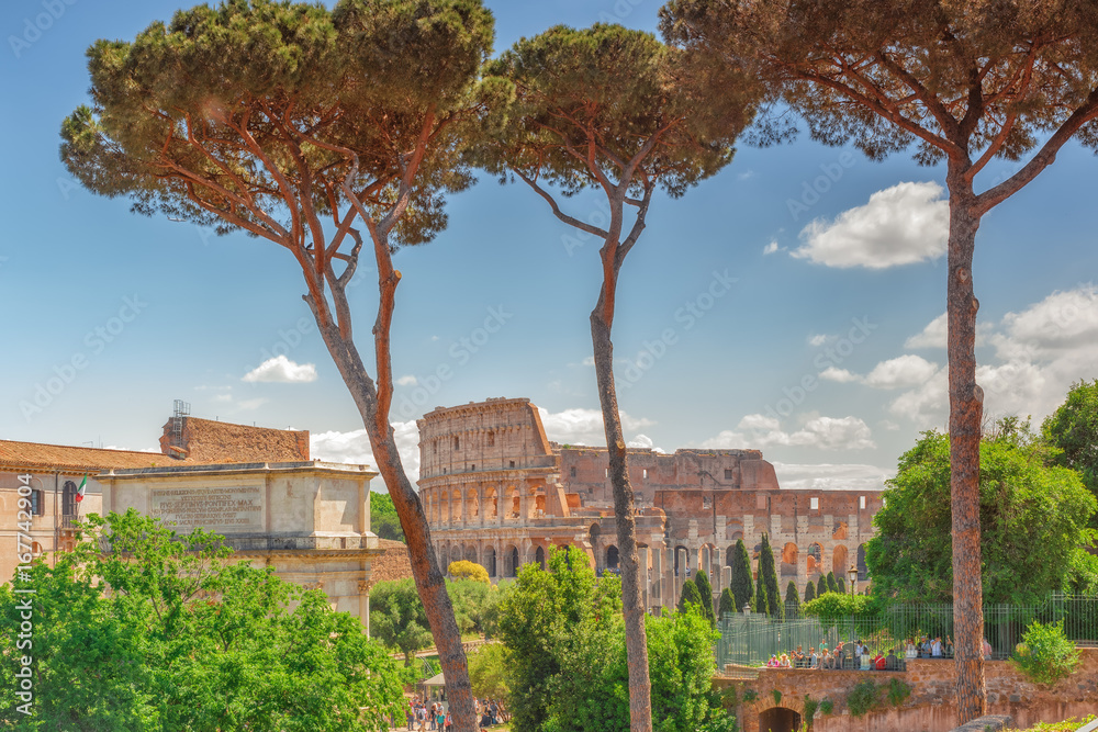 Obraz premium Beautiful landscape of the Colosseum in Rome- one of wonders of the world in the morning time. View from Roman Forum.