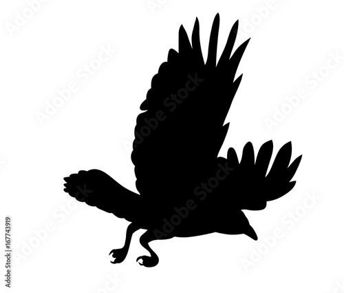 Vector, isolated black silhouette of a bird, crow flies
