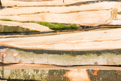 Timber logs on a lumberyard