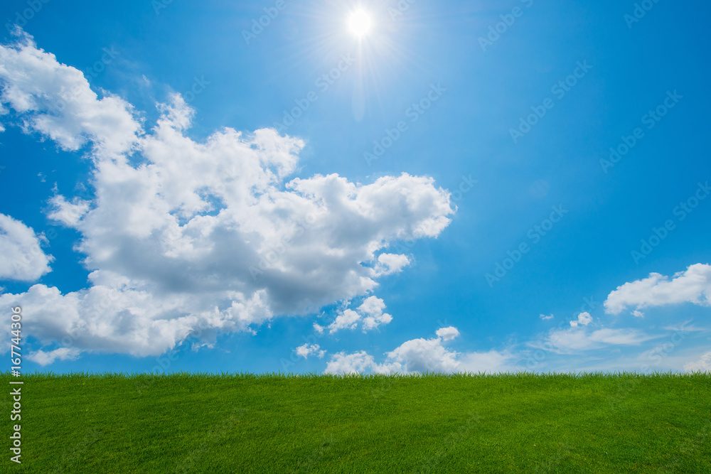 Cloudy sky and green grass in nature concept