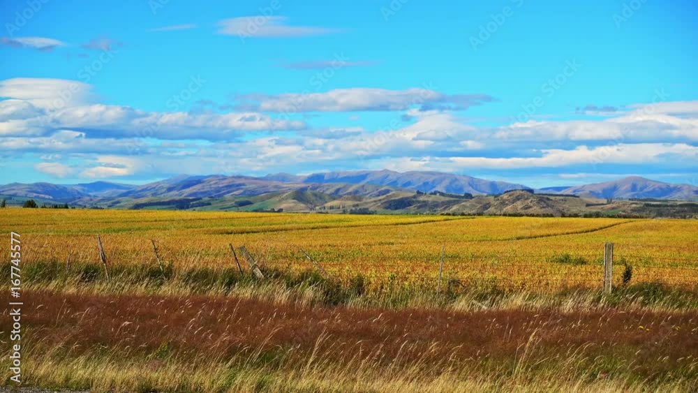 View of Green hills and valleys of the South Island, New Zealand View of Green hills and valleys of the South Island, New Zealand