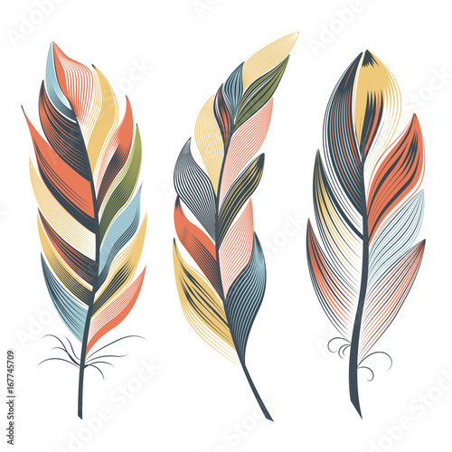 Large multi-colored fluffy feathers. Boho style