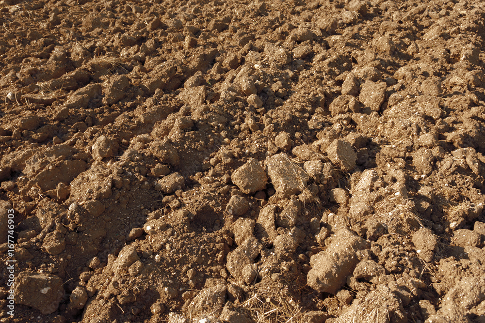 Soil texture background Soil texture background