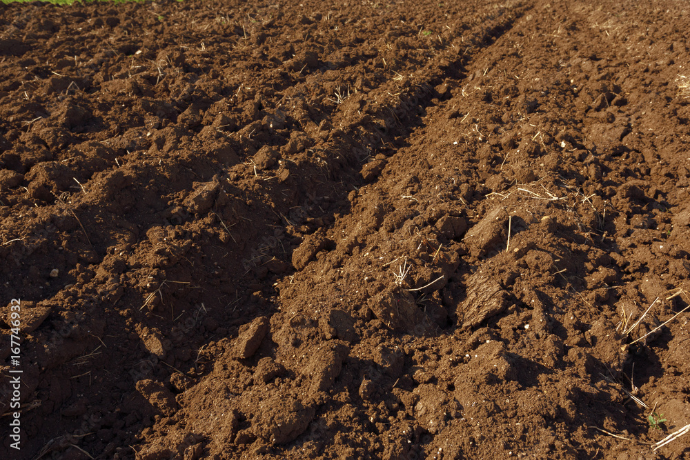 Soil texture background Soil texture background