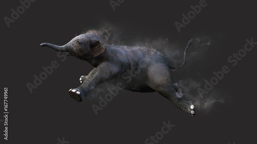 Canvas Print Baby Elephant Moving and Jumping With Dust Particle Effect on Gray Background, 3