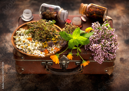 Fotografie Healing Medical herbs and flowers