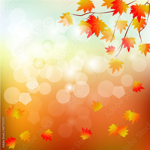 Vector background with red  orange  brown and yellow autumn leaves.