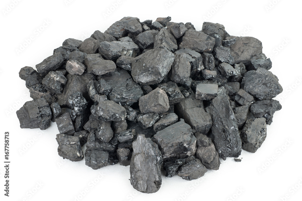 Pieces of coal