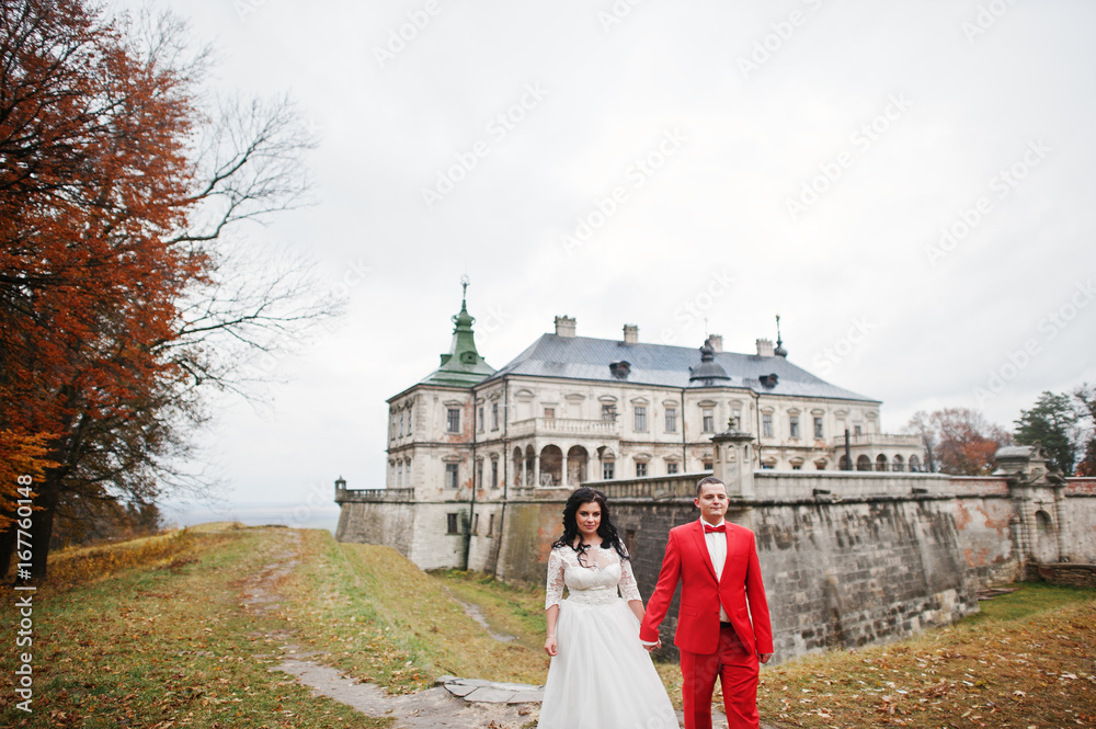 Perfect wedding couple standing and posing on the hill with a view of an old castle.