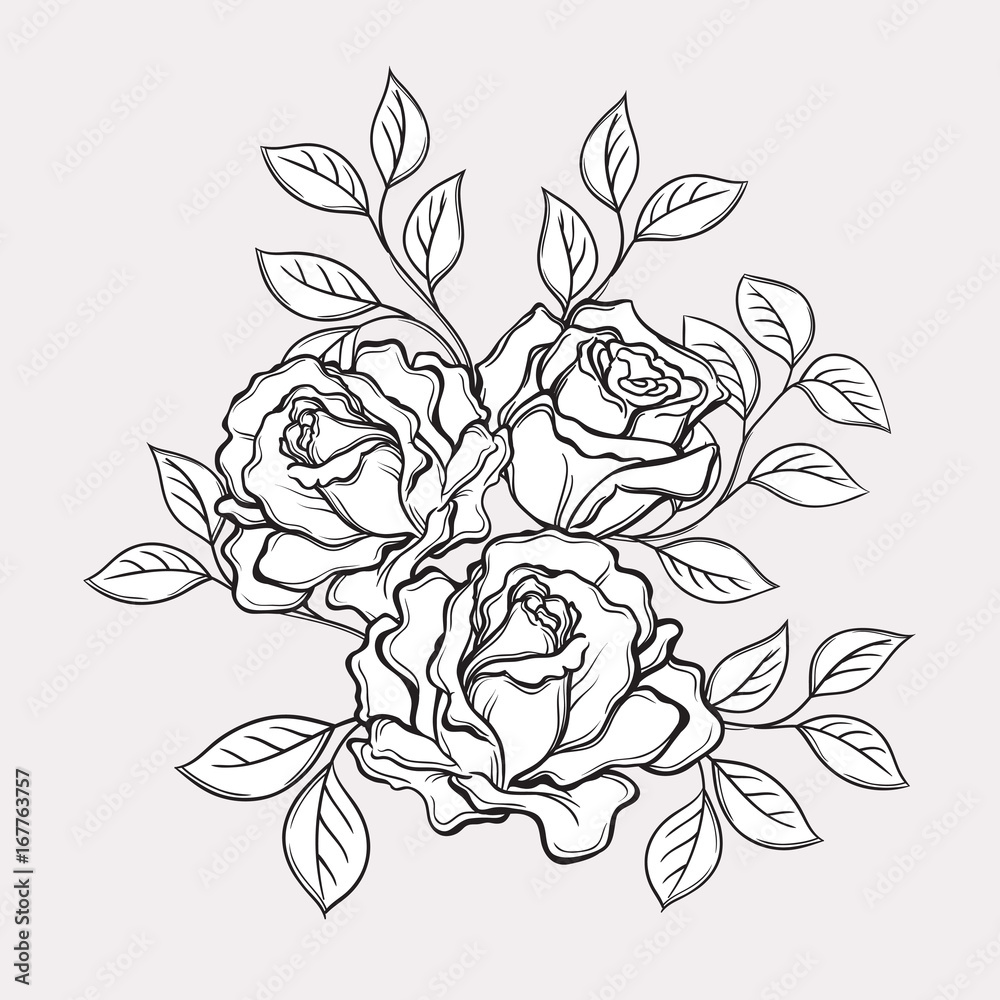 Fototapeta premium Black and white rose flowers and leaves. Hand drawn vector illustration. Floral design elements