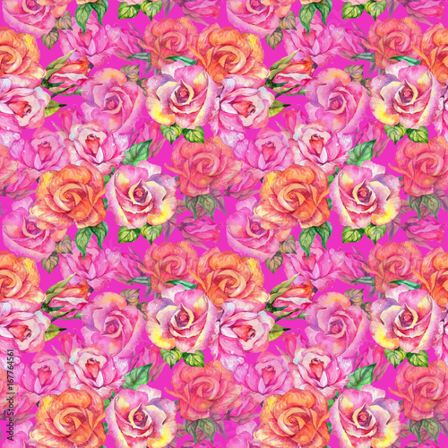 Wildflower rose flower pattern in a watercolor style. Full name of the plant: rose. Aquarelle wild flower for background, texture, wrapper pattern, frame or border.