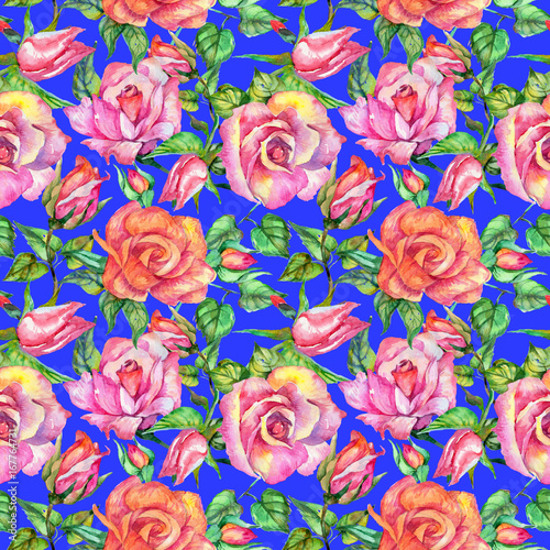 Wildflower rose flower pattern in a watercolor style. Full name of the plant: rose. Aquarelle wild flower for background, texture, wrapper pattern, frame or border.