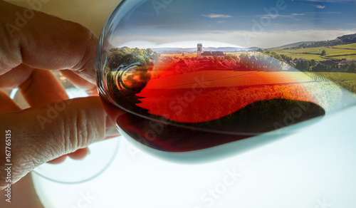 composition vignes dans verre de vin photo