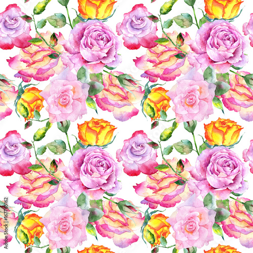Wildflower rose flower pattern in a watercolor style. Full name of the plant  rose. Aquarelle wild flower for background  texture  wrapper pattern  frame or border.