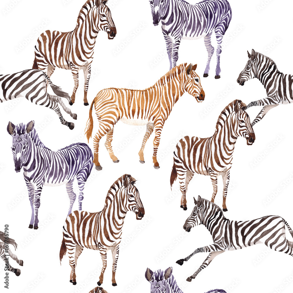 Obraz premium Exotic zebra wild animal pattern in a watercolor style. Full name of the animal: zebra. Aquarelle wild animal for background, texture, wrapper pattern or tattoo.
