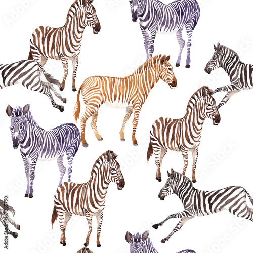 Fototapeta Naklejka Na Ścianę i Meble -  Exotic zebra wild animal pattern in a watercolor style. Full name of the animal: zebra. Aquarelle wild animal for background, texture, wrapper pattern or tattoo.