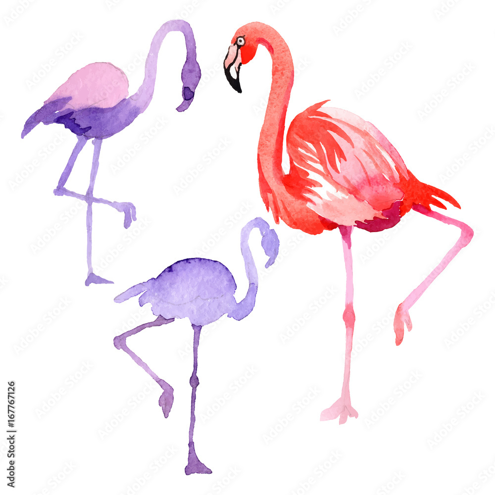 Fototapeta premium Niebo ptak flaming w dzikiej przyrody w stylu vectorr na białym tle. Dzika wolność, ptak z latającymi skrzydłami. Aquarelle ptak dla tła, tekstury, wzoru, ramki, obramowania lub tatuażu.