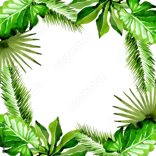 Tropical Hawaii leaves palm tree frame in a vector style. Aquarelle wild flower for background  texture  wrapper pattern  frame or border.