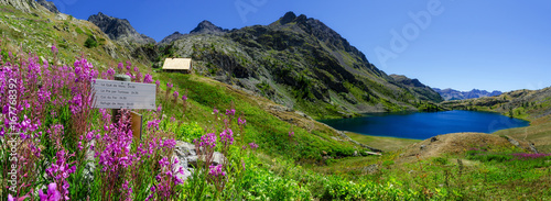 The Lac Superieur de Vens (Upper Lake of Vens in National Park of Mercantour (france), with flowers, trekking signboard and refuge photo