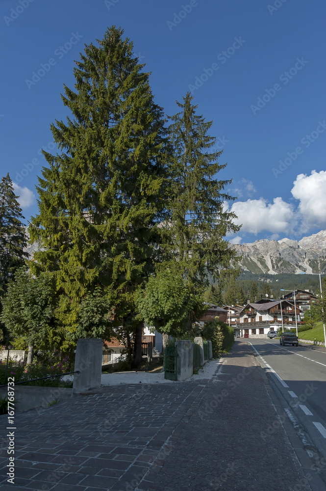 Autumnal corso Italia, the residential district in the town Cortina d'Ampezzo with mountain, Dolomite, Alps, Veneto, Italy, Europe Autumnal corso Italia, the residential district in the town Cortina d'Ampezzo with mountain, Dolomite, Alps, Veneto, Italy, Europe
