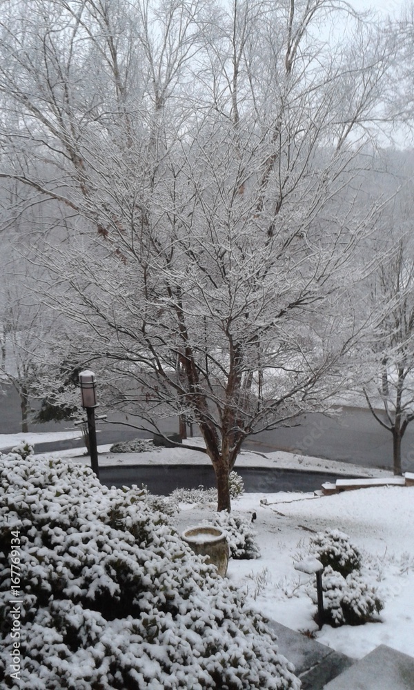 Winter Snow Winter Snow