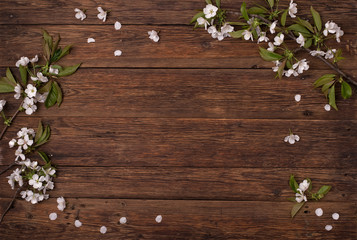 Spring flowers. Branches of a flowering cherry on a brown table.