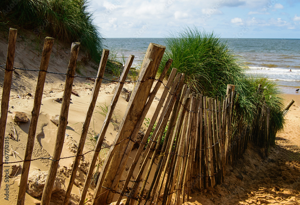 Sand dune with hedge, beach and sea
