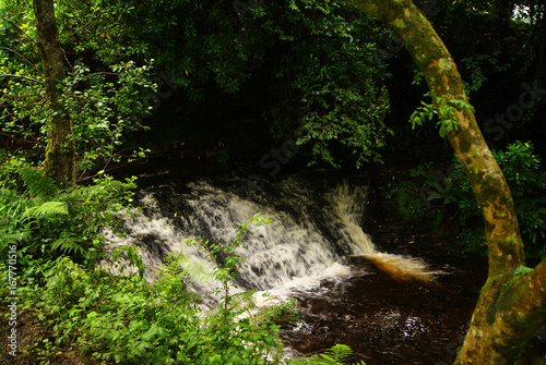 Landschaft um Glencar Waterfall