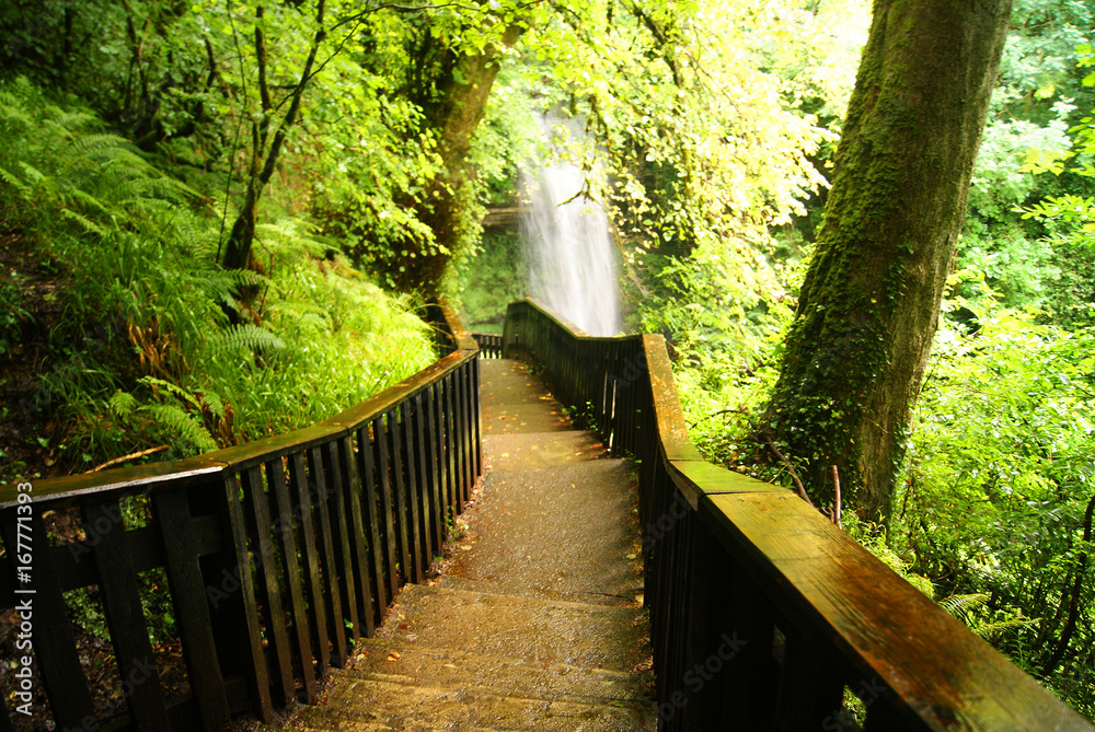 Fototapeta premium Glencar Waterfall