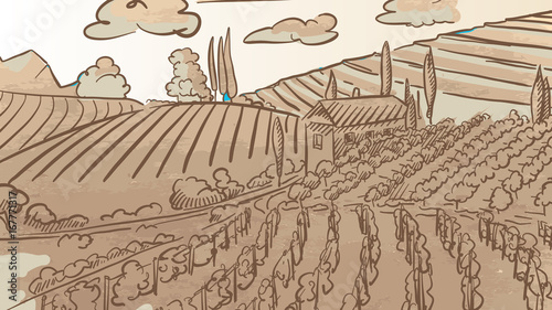 Vintage Vineyard Landcape Drawing