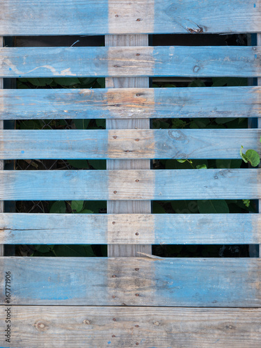 Vegetation behind Light Blue Wood Pallet