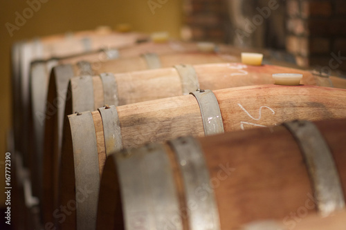 Oak wine barrels